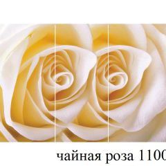 БОСТОН - 3 Стол раздвижной 1100/1420 опоры Брифинг в Игриме - igrim.mebel24.online | фото 47