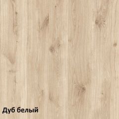 Эйп Шкаф для одежды 13.334 в Игриме - igrim.mebel24.online | фото 5