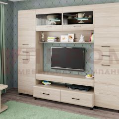 Гостиная Камелия Композиция 10 (Ясень Асахи) в Игриме - igrim.mebel24.online | фото