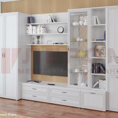 Гостиная Карина Композиция 11 (Снежный ясень) в Игриме - igrim.mebel24.online | фото