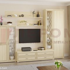 Гостиная Карина Композиция 12 (Ясень Асахи) в Игриме - igrim.mebel24.online | фото