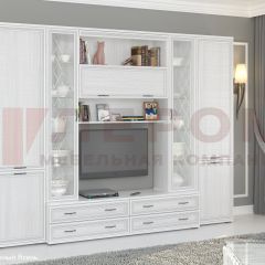 Гостиная Карина Композиция 19 (Снежный ясень) в Игриме - igrim.mebel24.online | фото