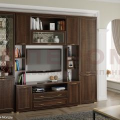 Гостиная Карина Композиция 2 (Акация Молдау) в Игриме - igrim.mebel24.online | фото