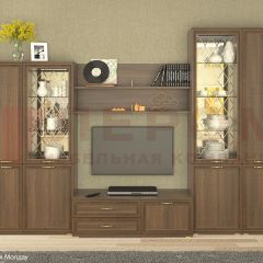 Гостиная Карина Композиция 24 (Акация Молдау) в Игриме - igrim.mebel24.online | фото