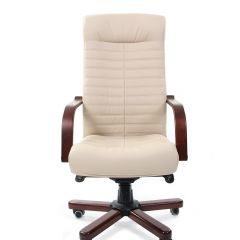 Кресло для руководителя CHAIRMAN 480 N WD (Экокожа) в Игриме - igrim.mebel24.online | фото 2