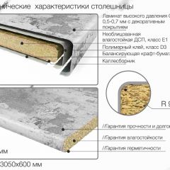 Кухонный фартук со столешницей (А-03) в едином стиле (3050 мм) в Игриме - igrim.mebel24.online | фото 6