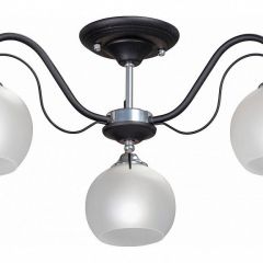 Люстра на штанге Vitaluce 3948 V3948-1/3PL в Игриме - igrim.mebel24.online | фото