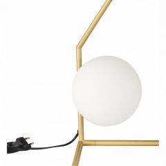 Настольная лампа декоративная ST-Luce Codda SL1148.314.01 в Игриме - igrim.mebel24.online | фото 2