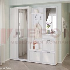 Прихожая Карина композиция 1 (Снежный ясень) в Игриме - igrim.mebel24.online | фото