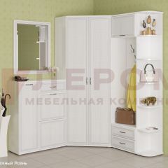 Прихожая Карина композиция 8 (Снежный ясень) в Игриме - igrim.mebel24.online | фото