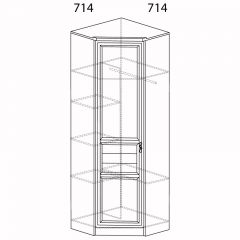 Шкаф угловой Лира №57 Дуб нортон темный в Игриме - igrim.mebel24.online | фото 2