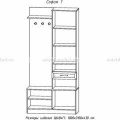 Прихожая София 1 в Игриме - igrim.mebel24.online | фото 3