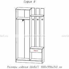 Прихожая София 8 в Игриме - igrim.mebel24.online | фото 2