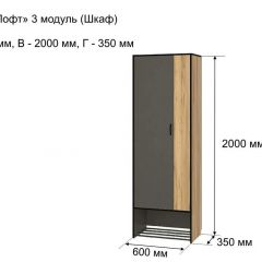 ОЛЬГА-ЛОФТ 3 Шкаф 2-х створчатый в Игриме - igrim.mebel24.online | фото 4