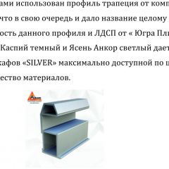 Шкаф-купе 1500 серии SILVER S1+S1+B2+PL2 (2 ящика+1 штанга+1 полка) профиль «Серебро» в Игриме - igrim.mebel24.online | фото 4