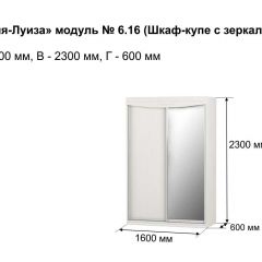 Шкаф-купе 1600 с зеркалом "Мария-Луиза 6.16" в Игриме - igrim.mebel24.online | фото 4