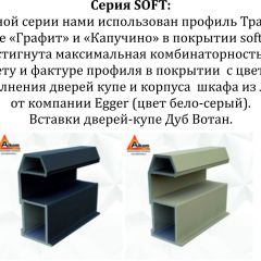 Шкаф-купе 1600 серии SOFT D8+D2+B2+PL4 (2 ящика+F обр.штанга) профиль «Капучино» в Игриме - igrim.mebel24.online | фото 10