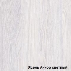 Шкаф-купе №19 Серия 3 Квадро (1500) Ясень Анкор светлый в Игриме - igrim.mebel24.online | фото 2