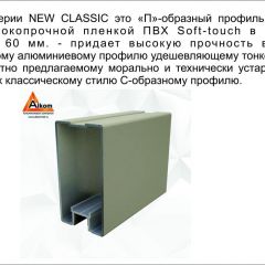 Шкаф-купе 2450 серии NEW CLASSIC K6Z+K1+K6+B22+PL2 (по 2 ящика лев/прав+1 штанга+1 полка) профиль «Капучино» в Игриме - igrim.mebel24.online | фото 17