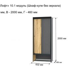 ОЛЬГА-ЛОФТ 10.1 Шкаф-купе без зеркала в Игриме - igrim.mebel24.online | фото 3