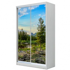 Шкаф-купе ХИТ 22-4-15-77 (420) в Игриме - igrim.mebel24.online | фото 2