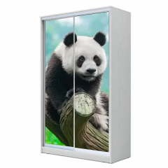 Шкаф-купе ХИТ 22-4-15-77 (420) в Игриме - igrim.mebel24.online | фото 6