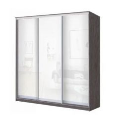 Шкаф-купе ХИТ 22-4-18/2-888 (420) в Игриме - igrim.mebel24.online | фото 9