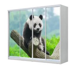 Шкаф-купе ХИТ 23-24/2-7777 (620) в Игриме - igrim.mebel24.online | фото