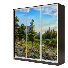 Шкаф-купе ХИТ 23-4-18-777 (420) в Игриме - igrim.mebel24.online | фото 1