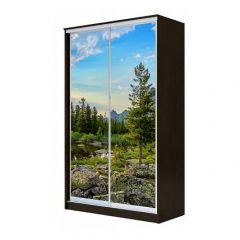 Шкаф-купе ХИТ 24-4-14-77 (420) в Игриме - igrim.mebel24.online | фото 1