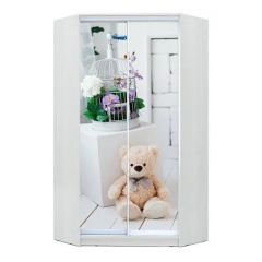 Шкаф-купе ХИТ-У-23-4-77 в Игриме - igrim.mebel24.online | фото