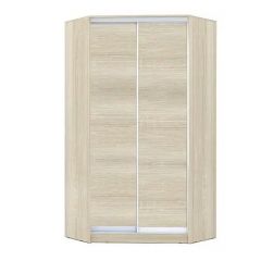 Шкаф-купе ХИТ-У-L-22-64-11 в Игриме - igrim.mebel24.online | фото 7