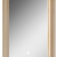 Шкаф-зеркало Nice 45 с подсветкой Домино (DN4704HZ) в Игриме - igrim.mebel24.online | фото