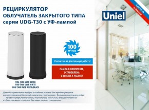 Бактерицидный светильник Uniel UDG-T UL-00007697 в Игриме - igrim.mebel24.online | фото 2