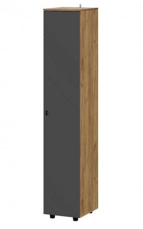 БАЙКАЛ Пенал (Графит/Дуб золотой) в Игриме - igrim.mebel24.online | фото
