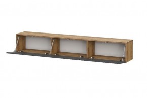 БАЙКАЛ Тумба (Графит/Дуб золотой) в Игриме - igrim.mebel24.online | фото 2