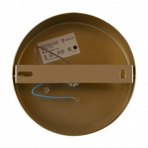 Бра Freya Zelda FR5124WL-01BS в Игриме - igrim.mebel24.online | фото 6