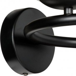 Бра Lightstar Globo 815627 в Игриме - igrim.mebel24.online | фото 6