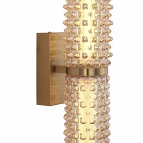 Бра ST-Luce SAGUARO SL6144.301.01 в Игриме - igrim.mebel24.online | фото 6