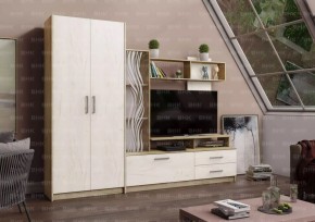 ДАРЬЯ Гостиная (Крафт серый/Крафт белый) модульная в Игриме - igrim.mebel24.online | фото