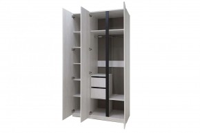 ДЕЛИ 3 Шкаф 3-х створчатый в Игриме - igrim.mebel24.online | фото 6