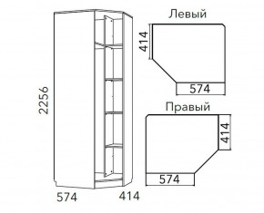 Детская Фанк Шкаф угловой Левый/Правый НМ 013.04-02 М в Игриме - igrim.mebel24.online | фото 3