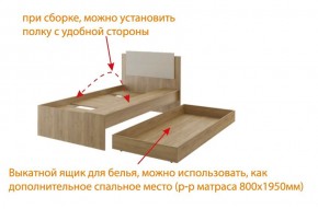 Дуглас подростковая (модульная) в Игриме - igrim.mebel24.online | фото 5