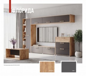 ФЛОРИДА Гостиная (модульная) дуб золотой/графит в Игриме - igrim.mebel24.online | фото