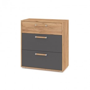 ФЛОРИДА Гостиная (модульная) дуб золотой/графит в Игриме - igrim.mebel24.online | фото 8