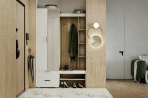 Гарнитур для прихожей Торонто в Игриме - igrim.mebel24.online | фото 5
