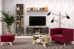Гостиная Вега Скандинавия (комплект 5) в Игриме - igrim.mebel24.online | фото 2