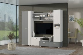 Гостиная Юна (Анкор светлый/Графит) в Игриме - igrim.mebel24.online | фото 3