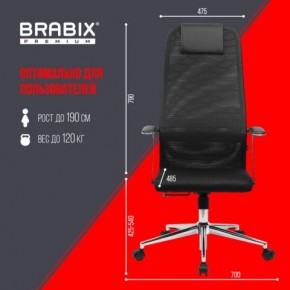 Кресло BRABIX PREMIUM "Ultimate EX-801" хром, плотная двойная сетка Х2, черное, 532917 в Игриме - igrim.mebel24.online | фото 7