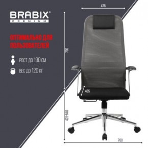 Кресло офисное BRABIX PREMIUM "Ultimate EX-801" хром, плотная двойная сетка Х2, черное/серое, 532918 в Игриме - igrim.mebel24.online | фото 5